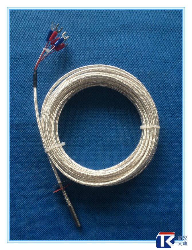 雙支壓片熱電阻、pt100熱電阻、補(bǔ)償導(dǎo)線(xiàn)熱電阻