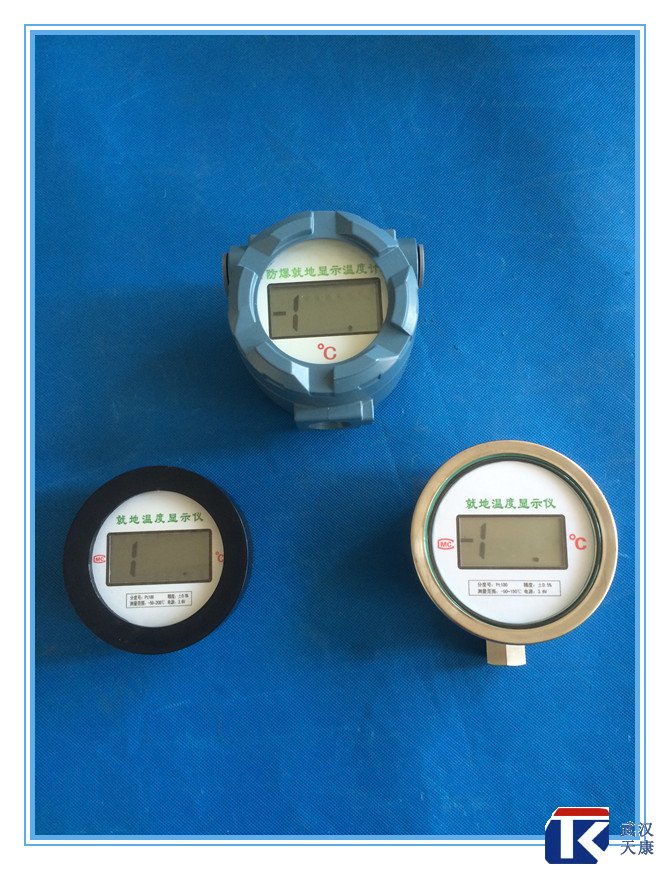 無(wú)源數(shù)顯溫度傳感器、無(wú)需外接電源、鋰電池供電